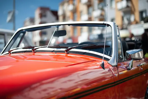 카지노 슬로틸다 월드 안드로이드/iOS 앱